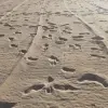 Sunny Beach, Bulgaria 18