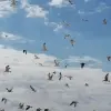 Sunny Beach, Bulgaria 13
