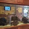 Hotel Grifid Arabella Hotel, Nisipurile de Aur, Bulgaria, Bulgaria 19