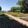 Balchik, Bulgaria 17