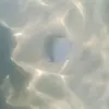 Sunny Beach, Bulgaria 14