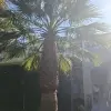 Hotel Portes Beach Hotel, Kassandra, Halkidiki, Grecia, Grecia 3