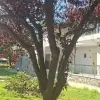 Hotel Portes Beach Hotel, Kassandra, Halkidiki, Grecia, Grecia 7