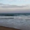 Hotel Hotel Poseidon Beach, Nisipurile de Aur, Bulgaria, Bulgaria 19