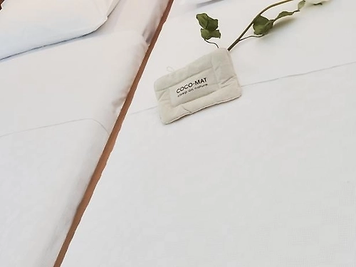 Hotel Vlachogiannis Grecia (6 / 20)