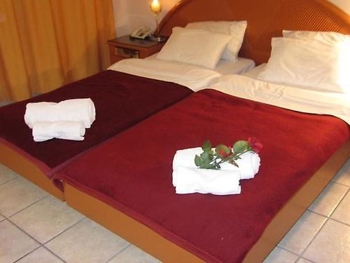 Lito Hotel Riviera Olimpului Grecia (14 / 18)