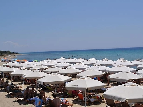 Hotel Georgalas Sun Beach Kassandra (22 / 23)