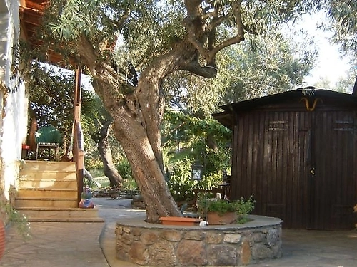 Hotel Kortiri Studios Sithonia (6 / 14)