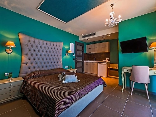 Hotel Flegra Beach Boutique Kassandra Grecia (7 / 18)