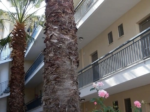 Hotel Stavros Rendina Beach Athos (13 / 21)