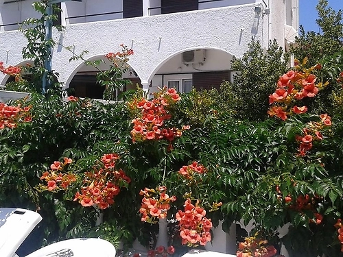 Hotel Gouvia Corfu Grecia (28 / 28)