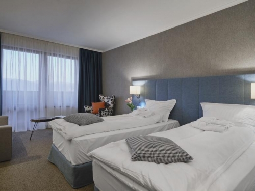 Hotel SPA Resort Saint Ivan Rilski Bansko (20 / 48)