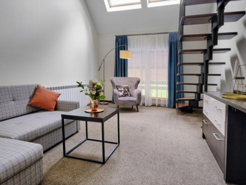 Hotel SPA Resort Saint Ivan Rilski Bansko (21 / 48)