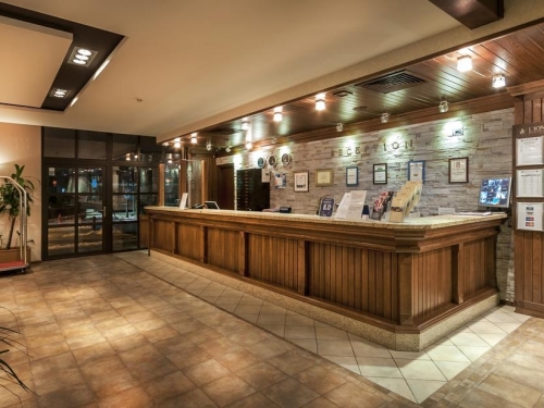 Hotel Lion Bansko Bansko (20 / 40)