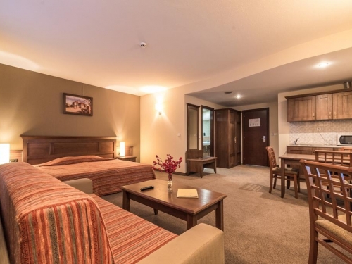 Hotel Lion Bansko Bansko (11 / 40)