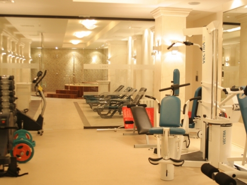 Hotel Lion Bansko Bansko Ski Bulgaria (35 / 40)