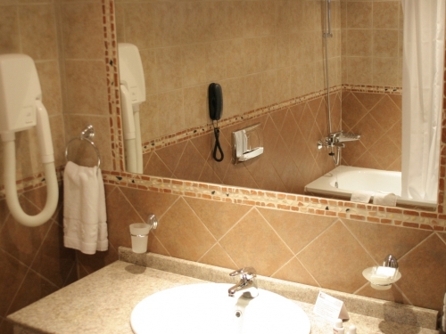 Hotel Lion Bansko Bansko Ski Bulgaria (15 / 40)