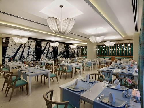 Hotel Papillon Ayscha Resort & SPA Turcia (5 / 23)