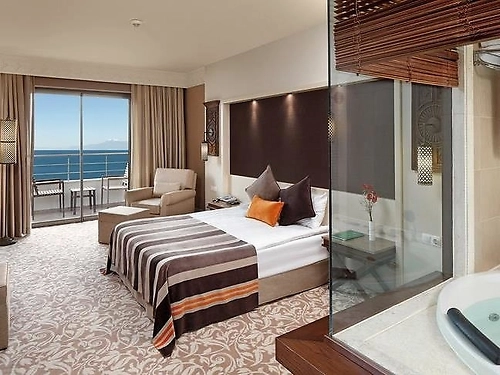 Hotel Ela Quality Belek Turcia (8 / 36)