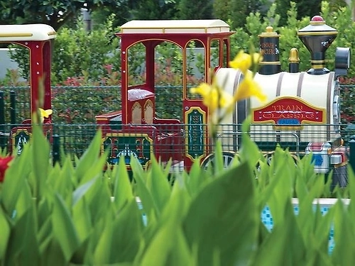 Hotel Cornelia Diamond Golf Resort & Spa Belek (32 / 41)