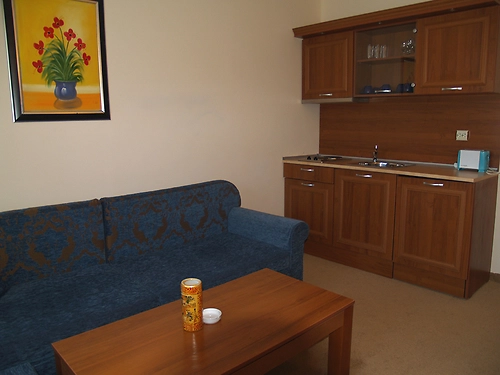 Emerald SPA Hotel Bansko (11 / 30)