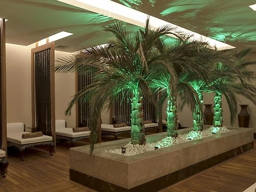 Hotel Delphin Imperial Lara Turcia (16 / 25)