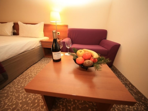 Hotel Strazhite Bansko (19 / 43)