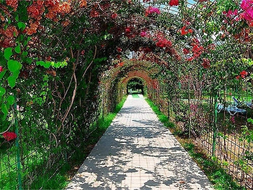 Hotel Daima Resort Kemer (39 / 39)