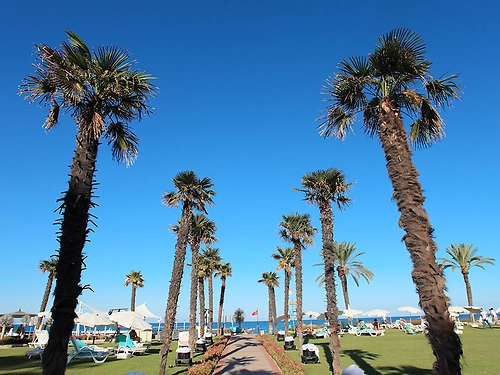 Hotel Club Salima Kemer Turcia (22 / 31)