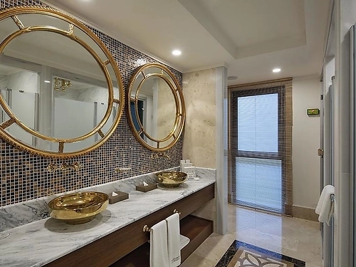 Hotel Nirvana Mediterranean Excellence (fost Nirvana Lagoon Villas Suites & Spa) Kemer (8 / 29)