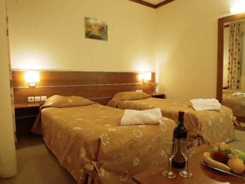 Hotel Vihren Royal Palace Bansko (9 / 42)