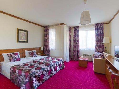 Hotel Vihren Royal Palace Bansko Ski Bulgaria (20 / 42)