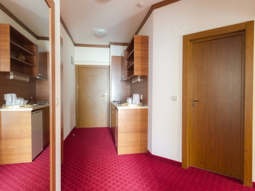 Hotel Vihren Royal Palace Bansko (21 / 42)