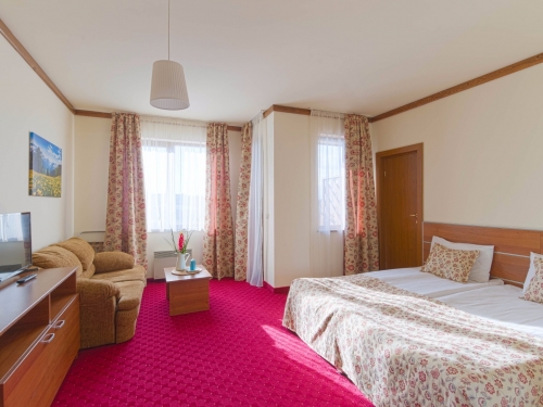 Hotel Vihren Royal Palace Bansko (18 / 42)