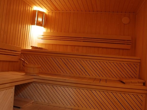 Hotelul Adeona Ski & Spa Bansko Ski Bulgaria (10 / 22)