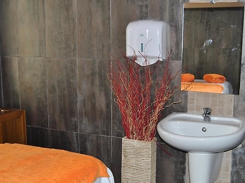 Hotelul Adeona Ski & Spa Ski Bulgaria (15 / 22)