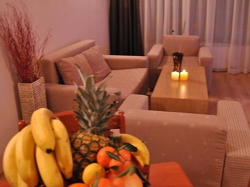 Hotelul Adeona Ski & Spa Bansko Ski Bulgaria (18 / 22)
