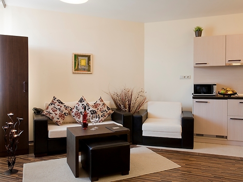 Hotel Perun Lodge Bansko (22 / 42)