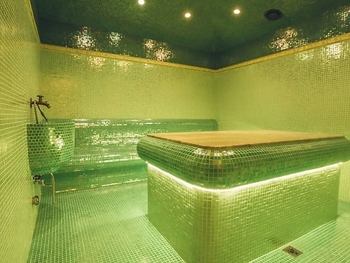 Hotel Avenue Deluxe Bulgaria (22 / 25)