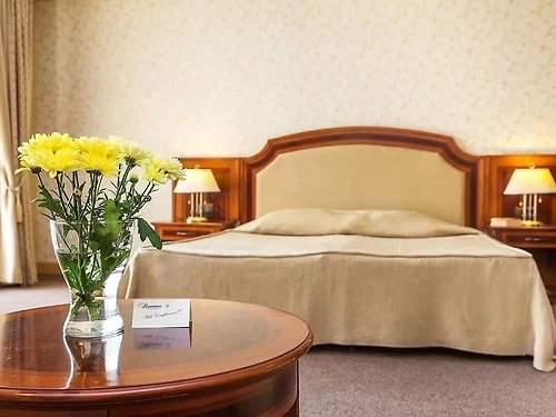 Hotel Romance SPA Constantin si Elena (18 / 31)