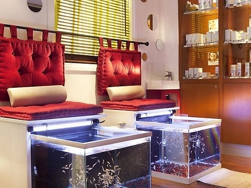 Hotel Magic Circus - Paris Nisipurile de Aur Bulgaria (12 / 32)