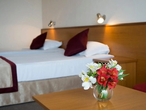 Hotel Aronia Beach Sunny Beach (6 / 22)