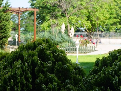 Hotel Aronia Beach Bulgaria (13 / 22)