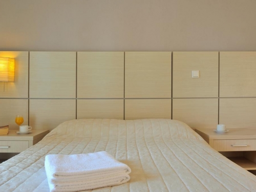 Aristotelis - Fourka Hotel Kassandra (11 / 21)
