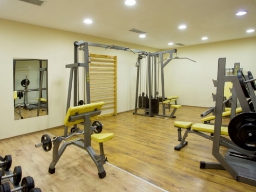 Hotel Casa Karina Ski Bulgaria (38 / 43)