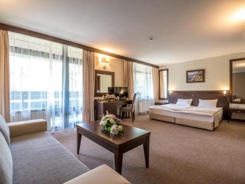Hotel Lion Borovets Borovets Ski Bulgaria (8 / 45)