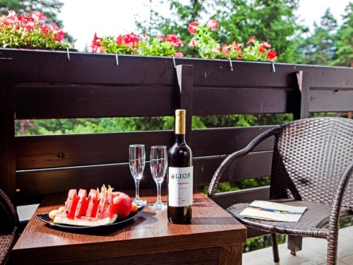 Hotel Lion Borovets Ski Bulgaria (19 / 45)