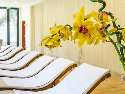 Hotel Rila Borovets (46 / 65)