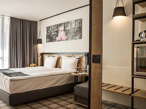 Hotel Rila Borovets (7 / 65)