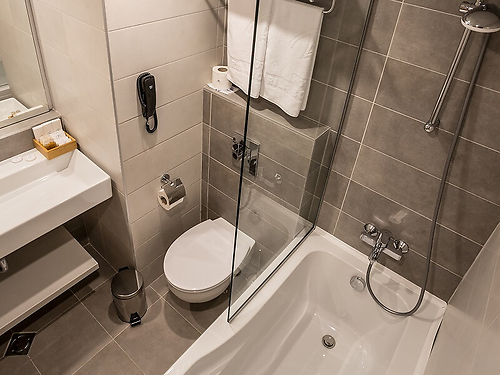 Hotel Rila Borovets (11 / 65)